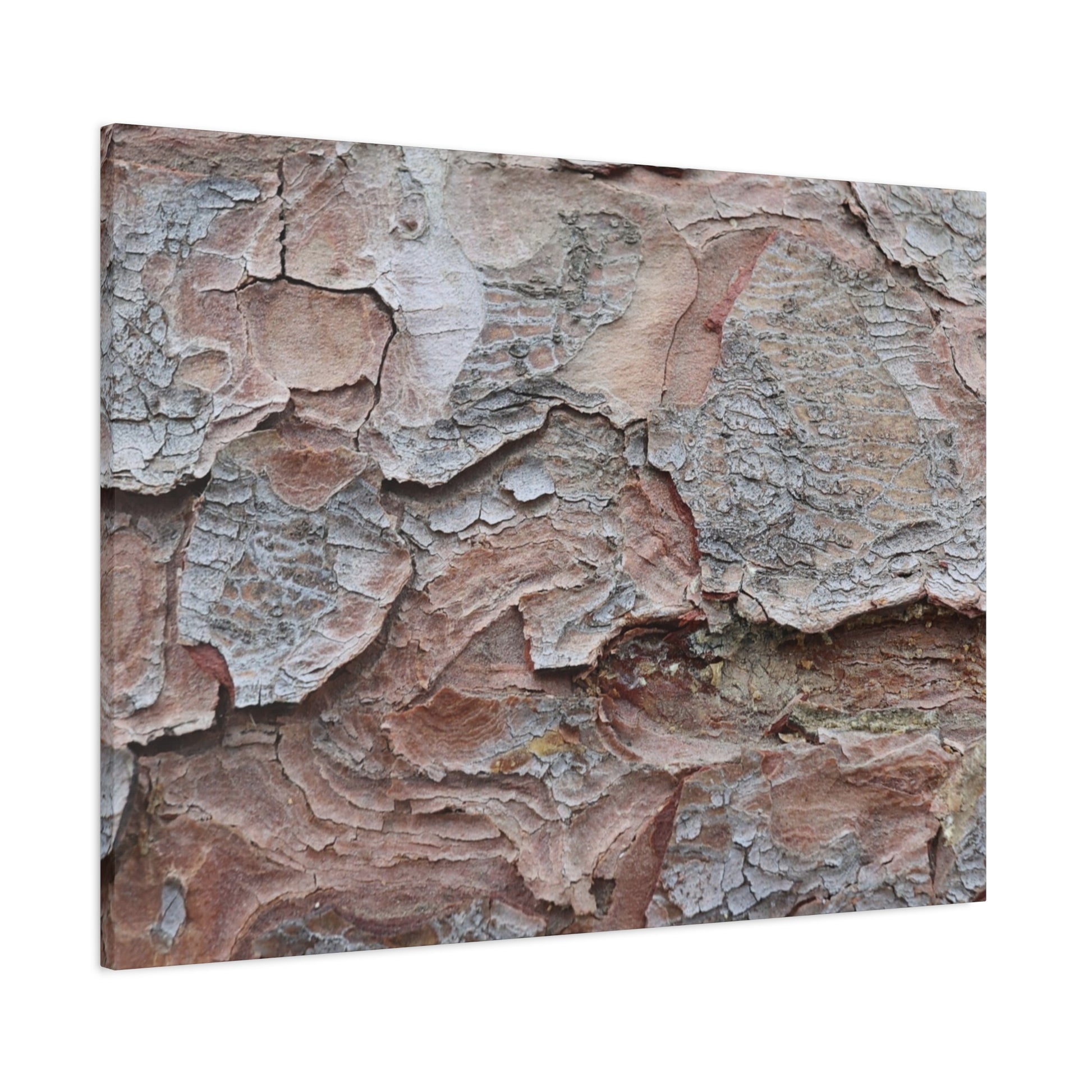Textural Landscape - Unique Frameless Canvas Wall Art - Art By Earth
