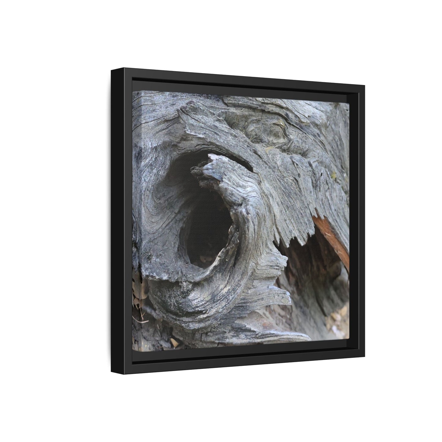 Bark's Labyrinth - Unique Stretched Canvas Wall Art - Art By Earth