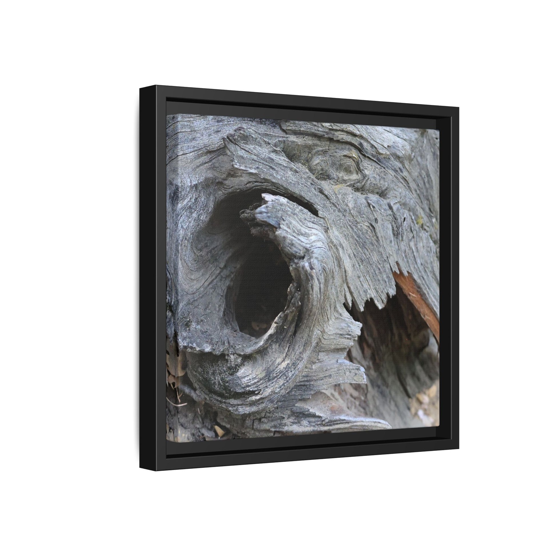 Bark's Labyrinth - Unique Stretched Canvas Wall Art - Art By Earth