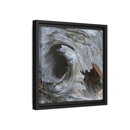Bark's Labyrinth - Unique Stretched Canvas Wall Art - Art By Earth