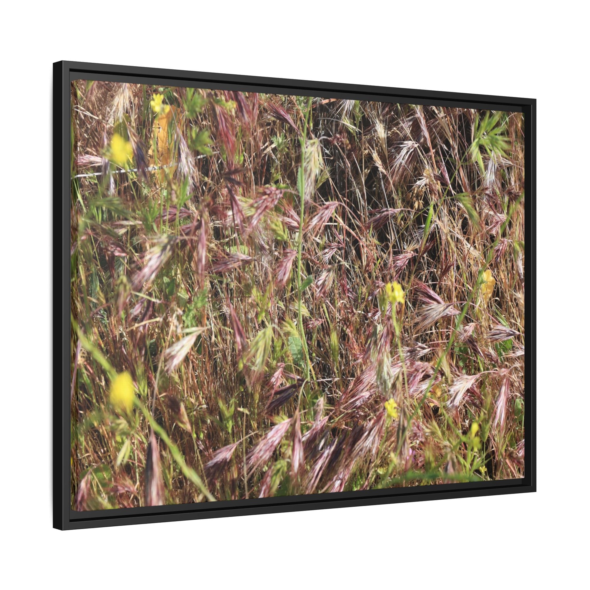 Autumn Meadow - Unique Stretched Canvas Wall Art - Art By Earth