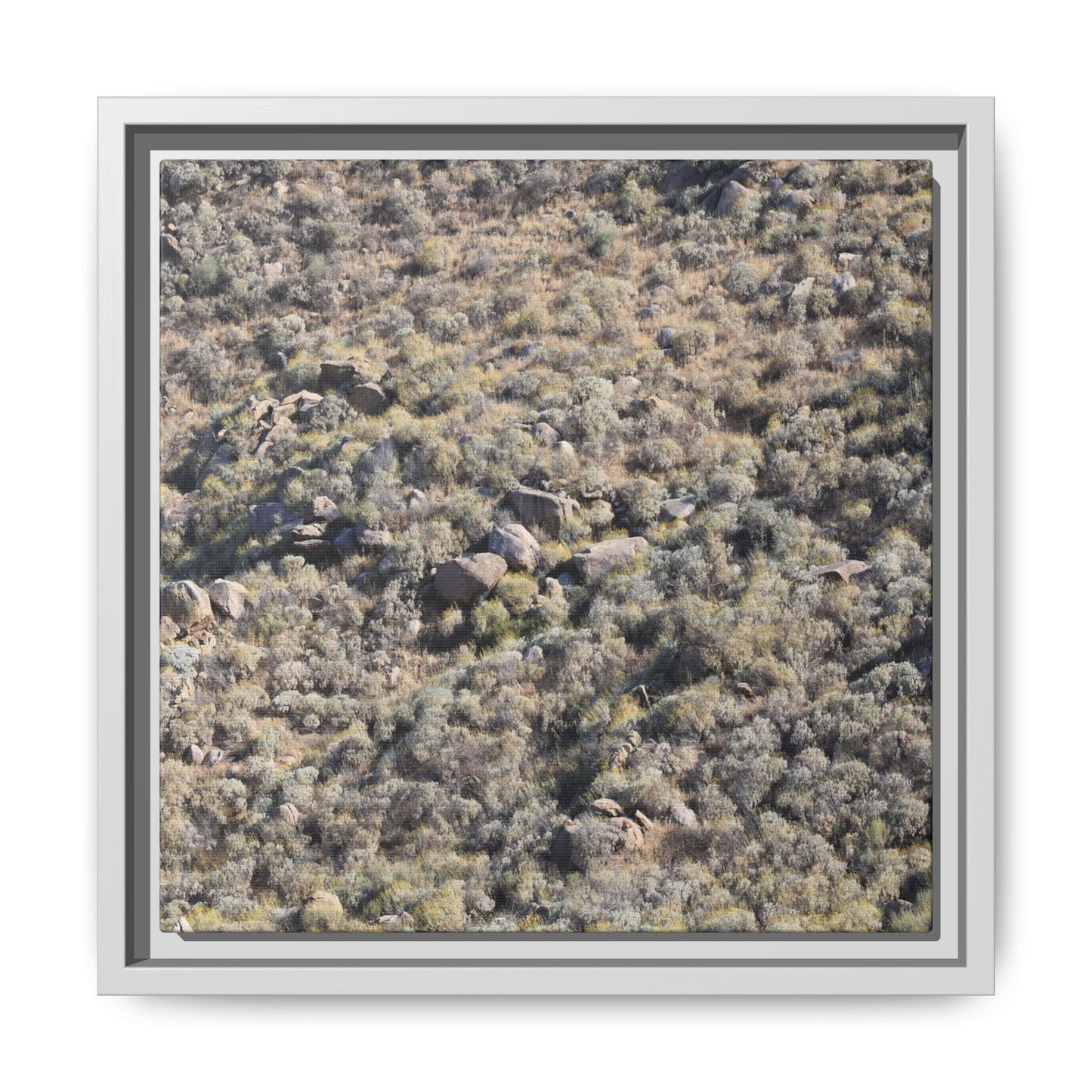 Arid Terrain Study - Unique Stretched Canvas Wall Art - Art By Earth