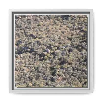 Arid Terrain Study - Unique Stretched Canvas Wall Art - Art By Earth