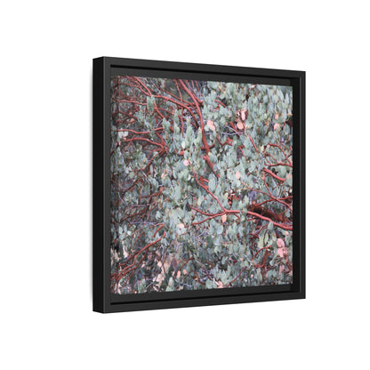 Whispers of Sage - Unique Stretched Canvas Wall Art - Art By Earth