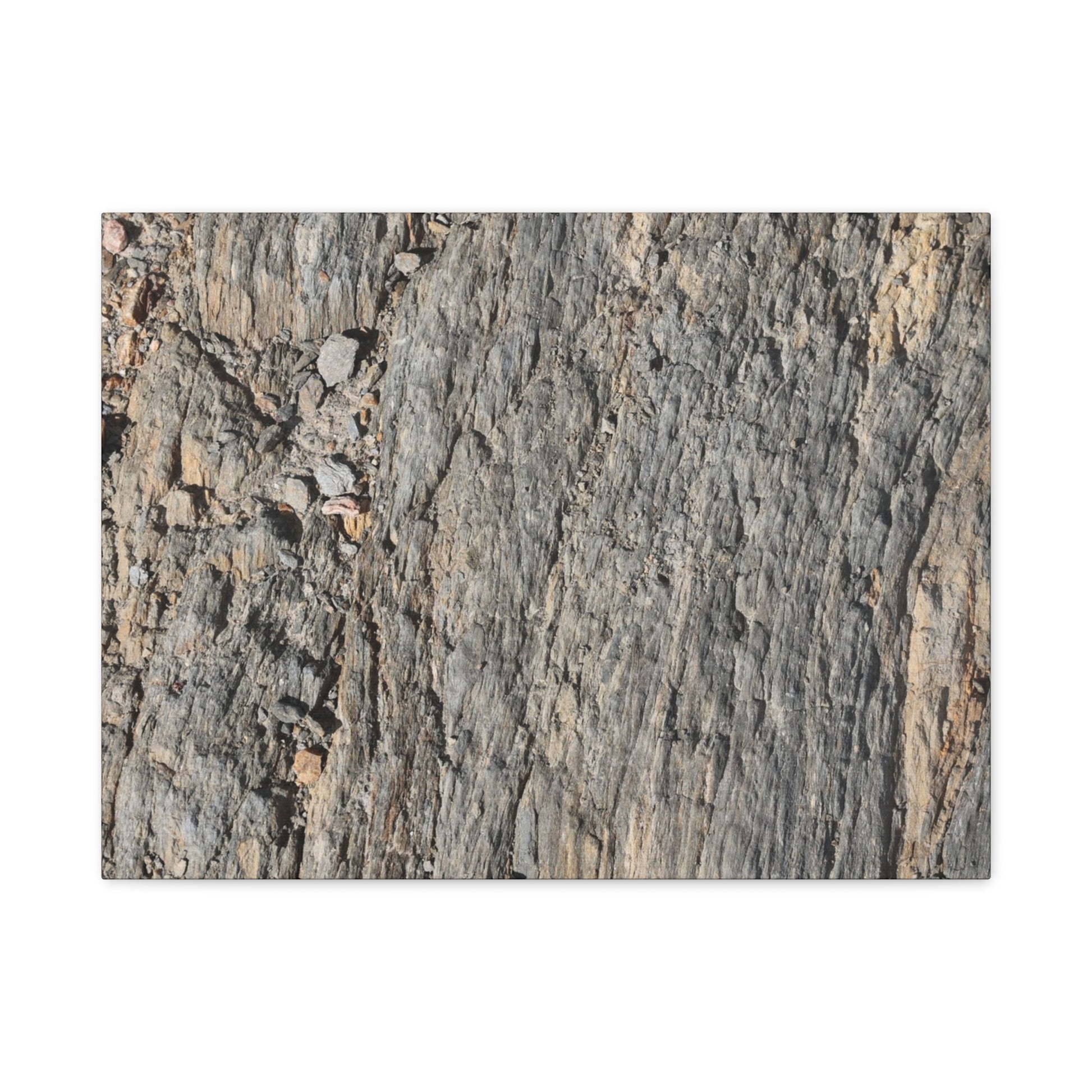 Bark Echoes - Unique Frameless Canvas Wall Art - Art By Earth