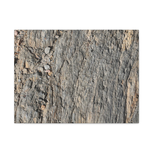 Bark Echoes - Unique Frameless Canvas Wall Art - Art By Earth