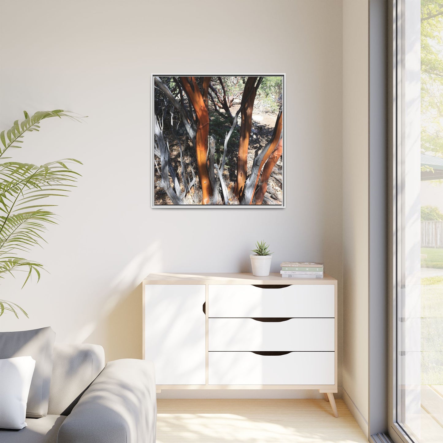 Eucalyptus Grove - Unique Stretched Canvas Wall Art