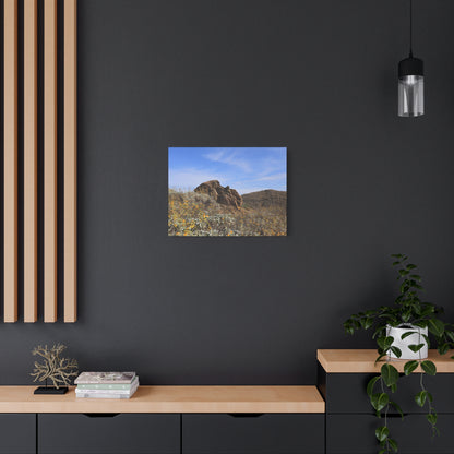 Desert Bloom - Unique Frameless Canvas Wall Art - Art By Earth