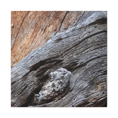 Tree Bark Texture - Unique Frameless Canvas Wall Art - Art By Earth