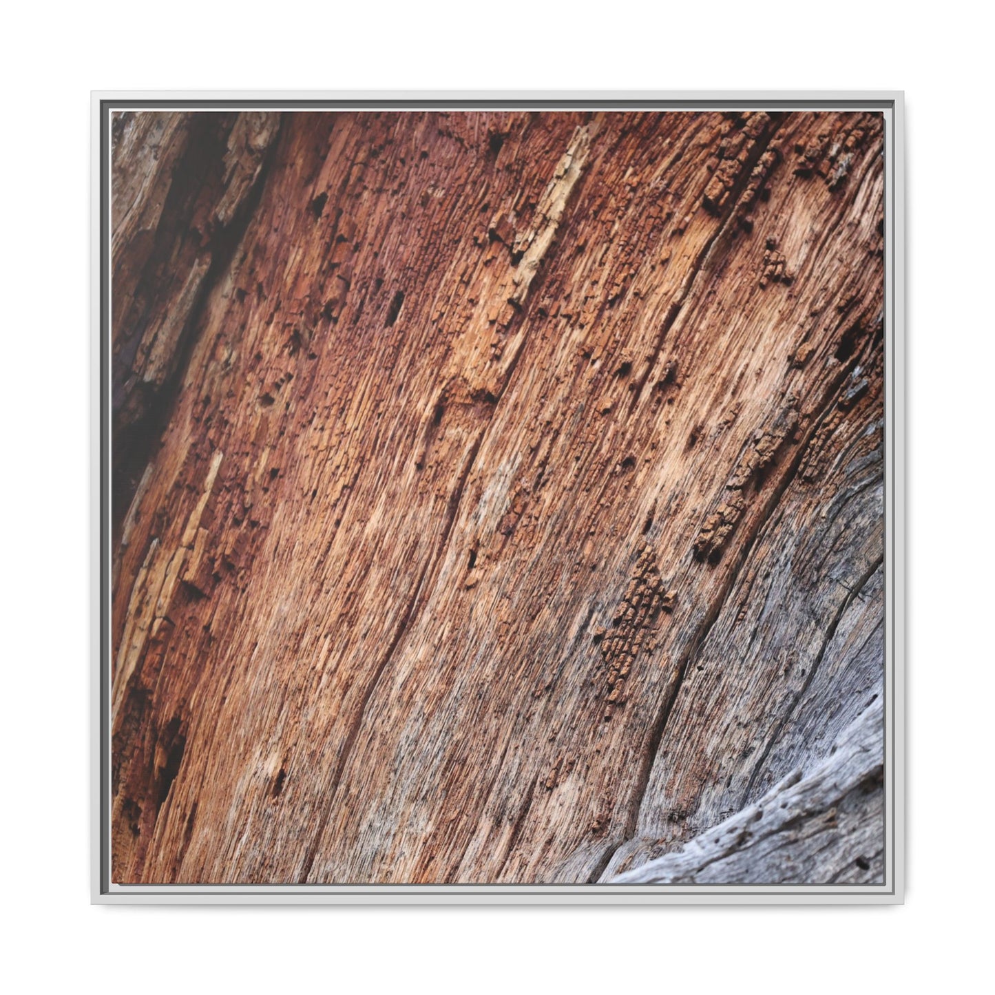 Time's Mark - Unique Stretched Canvas Wall Art - Art By Earth