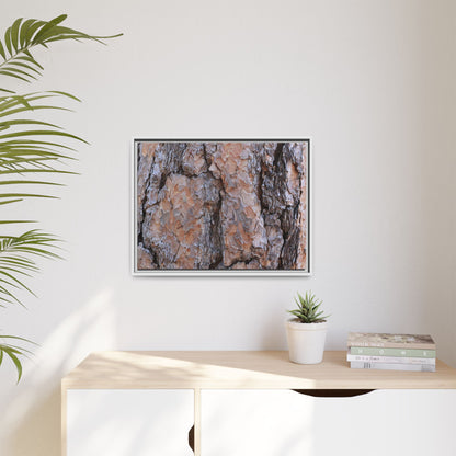 Tree Skin Symphony - Unique Stretched Canvas Wall Art - Art By Earth