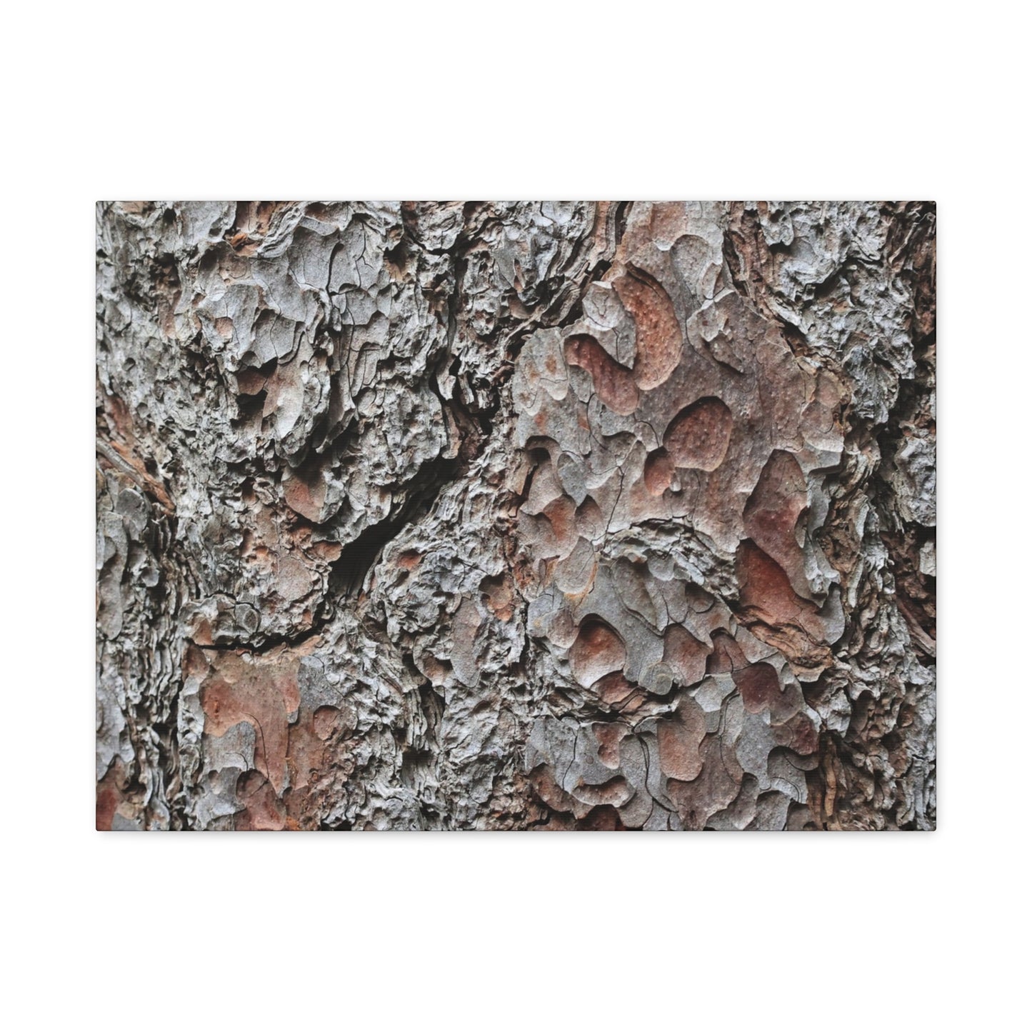 Textured Whispers of Bark - Unique Frameless Canvas Wall Art - Art By Earth