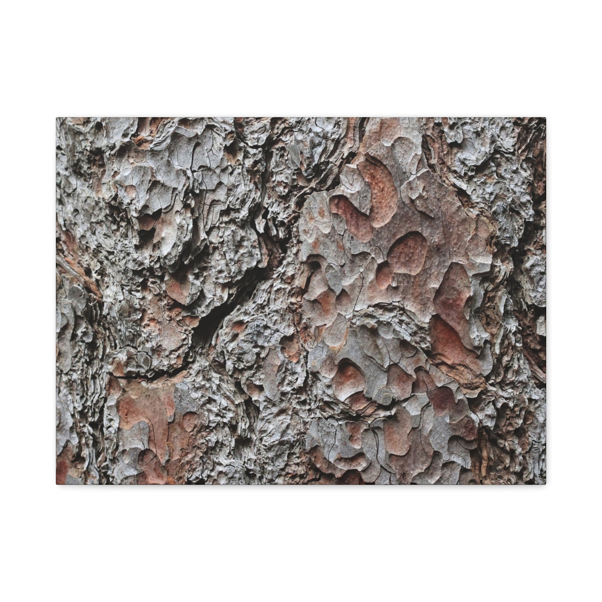 Textured Whispers of Bark - Unique Frameless Canvas Wall Art - Art By Earth