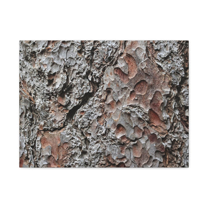 Textured Whispers of Bark - Unique Frameless Canvas Wall Art - Art By Earth