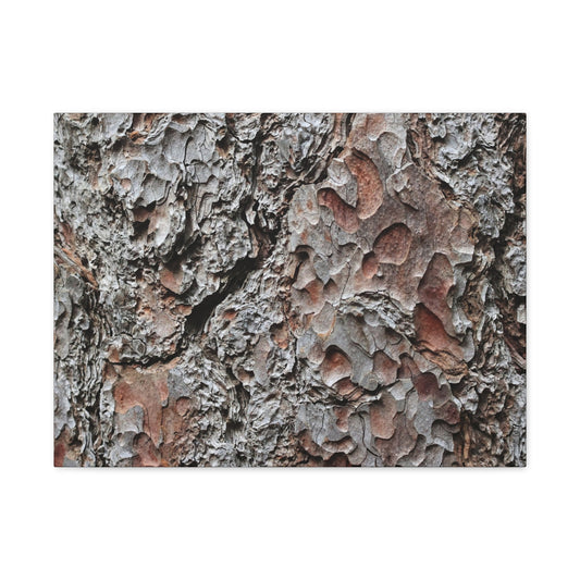 Textured Whispers of Bark - Unique Frameless Canvas Wall Art - Art By Earth