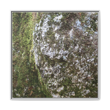 Lichen Landscape - Unique Stretched Canvas Wall Art - Art By Earth