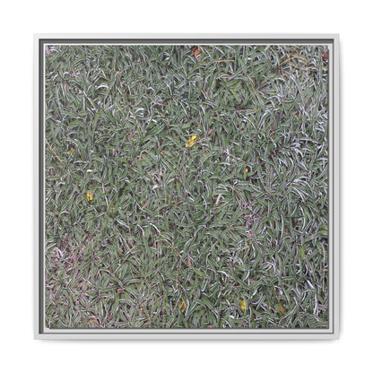 Grassy Texture - Unique Stretched Canvas Wall Art - Art By Earth