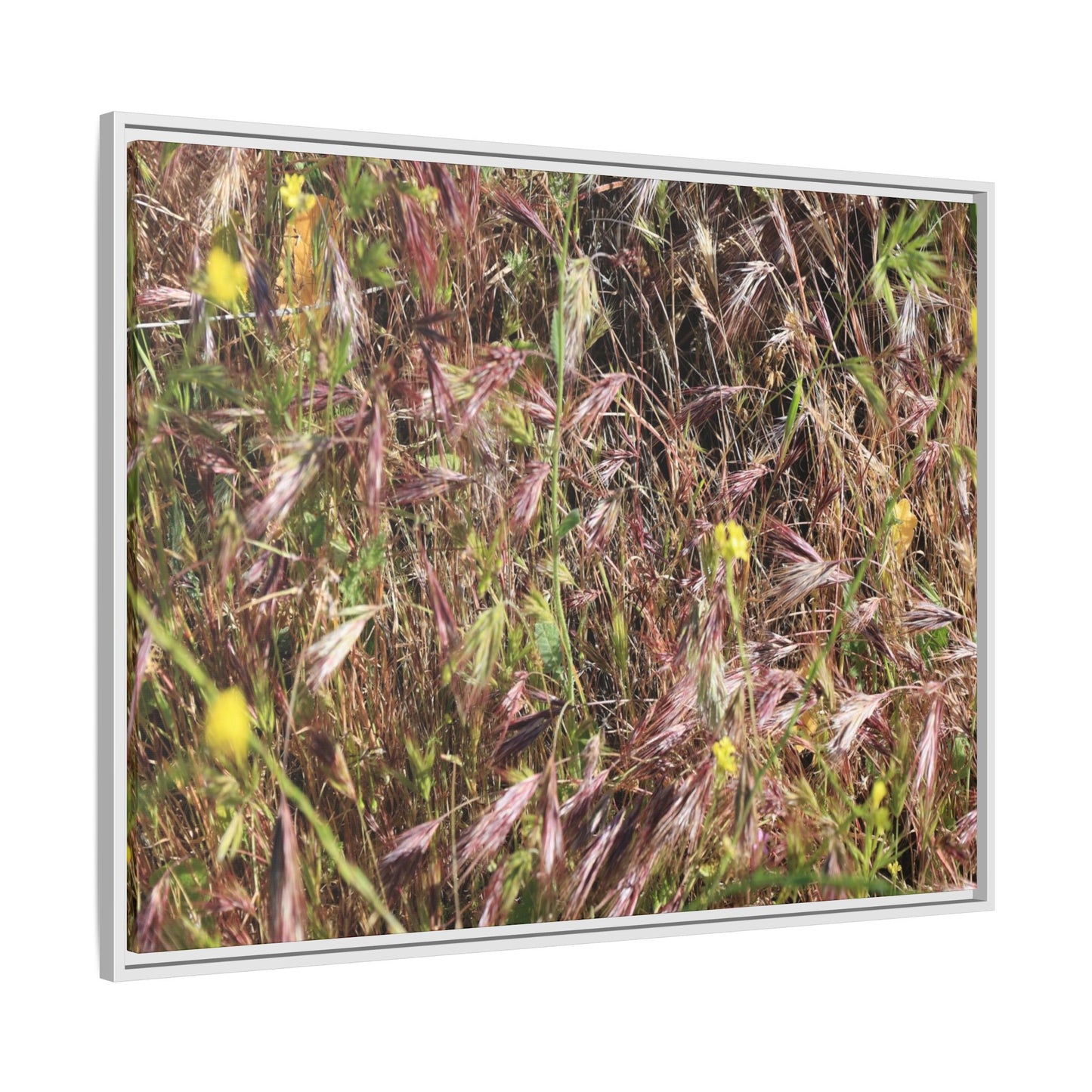 Autumn Meadow - Unique Stretched Canvas Wall Art - Art By Earth