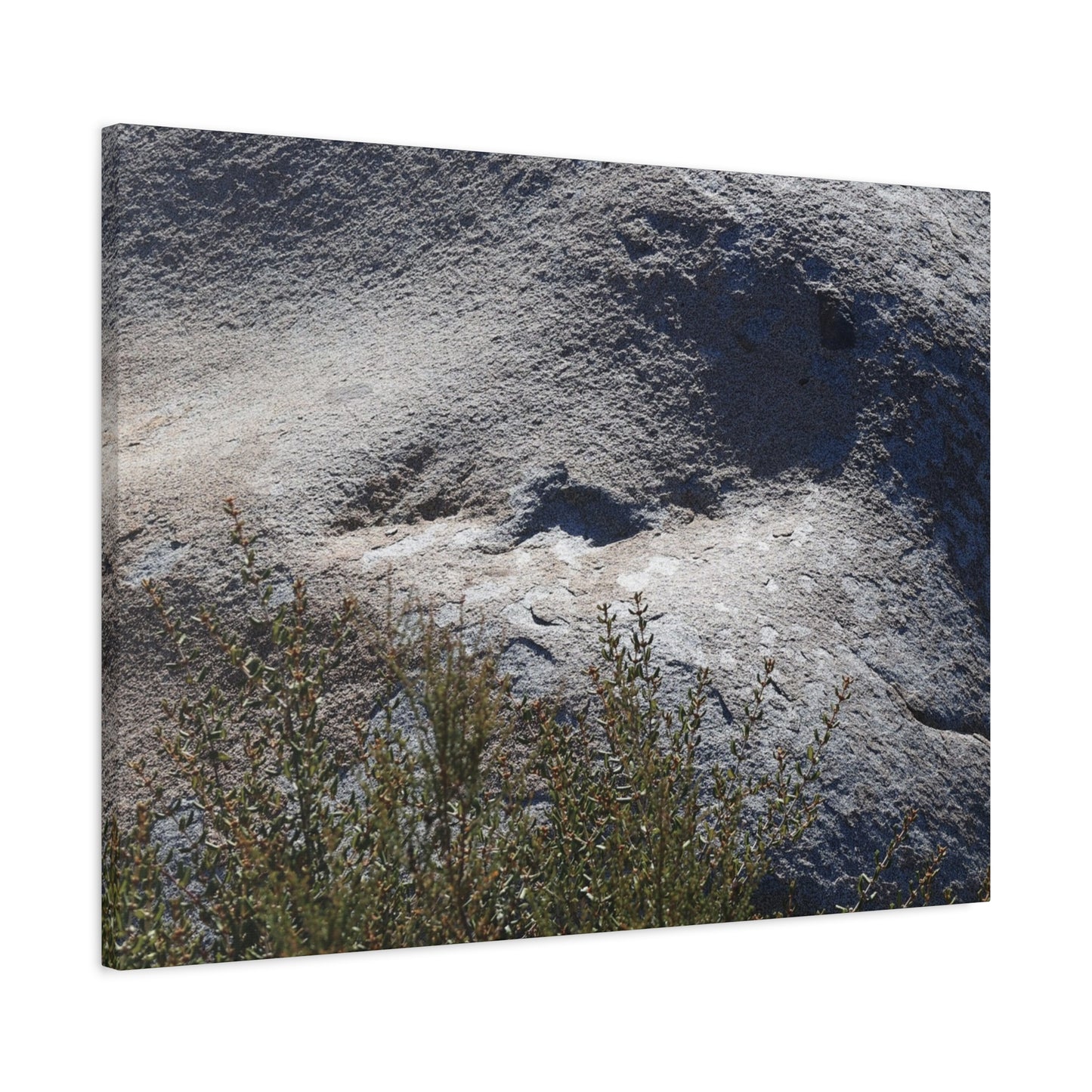 Stone Face in Nature - Unique Frameless Canvas Wall Art