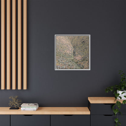 Mountain Slope with Desert Vegetation - Unique Stretched Canvas Wall Art - Art By Earth