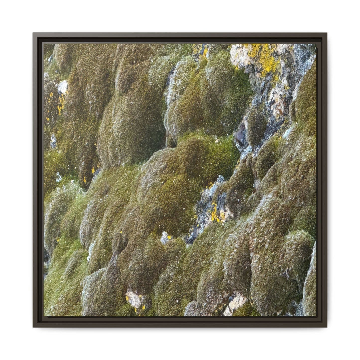 Moss Symphony - Unique Stretched Canvas Wall Art