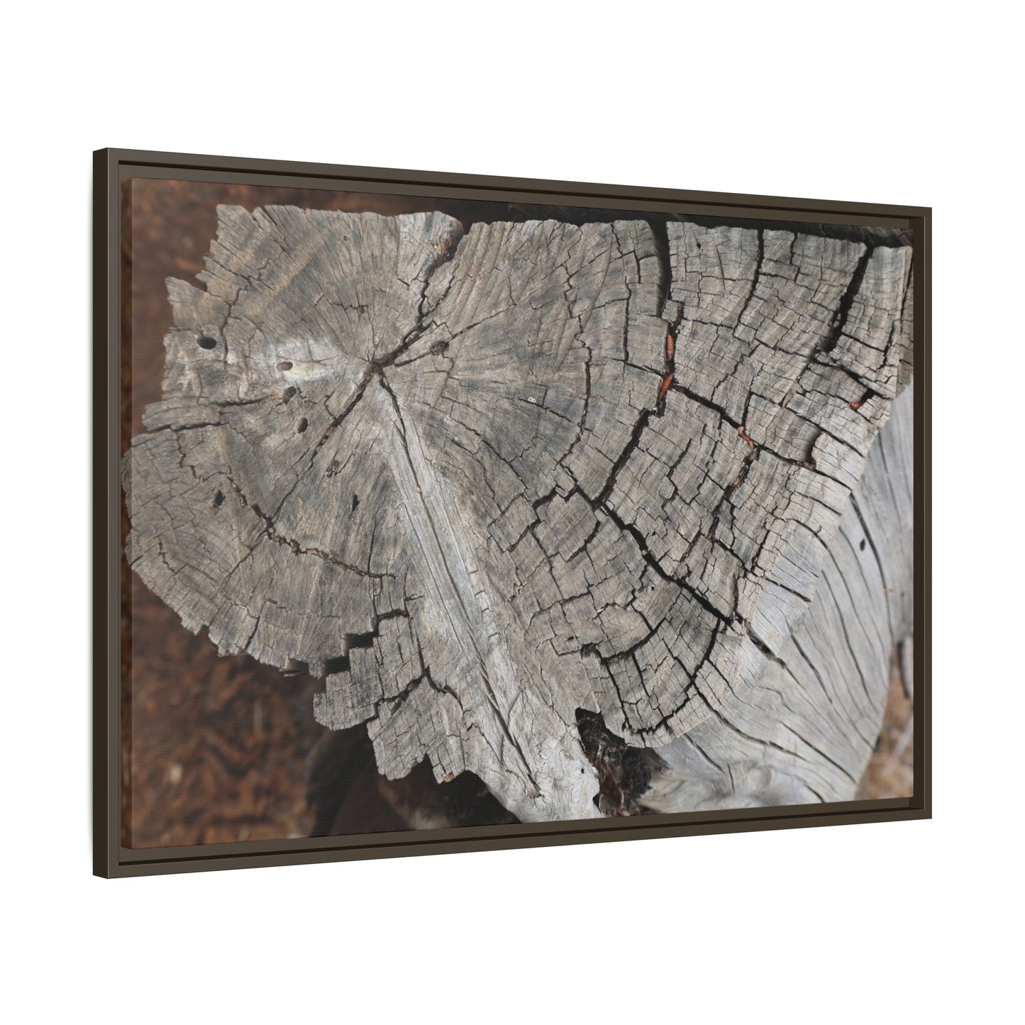 Time's Signature - Unique Stretched Canvas Wall Art - Art By Earth