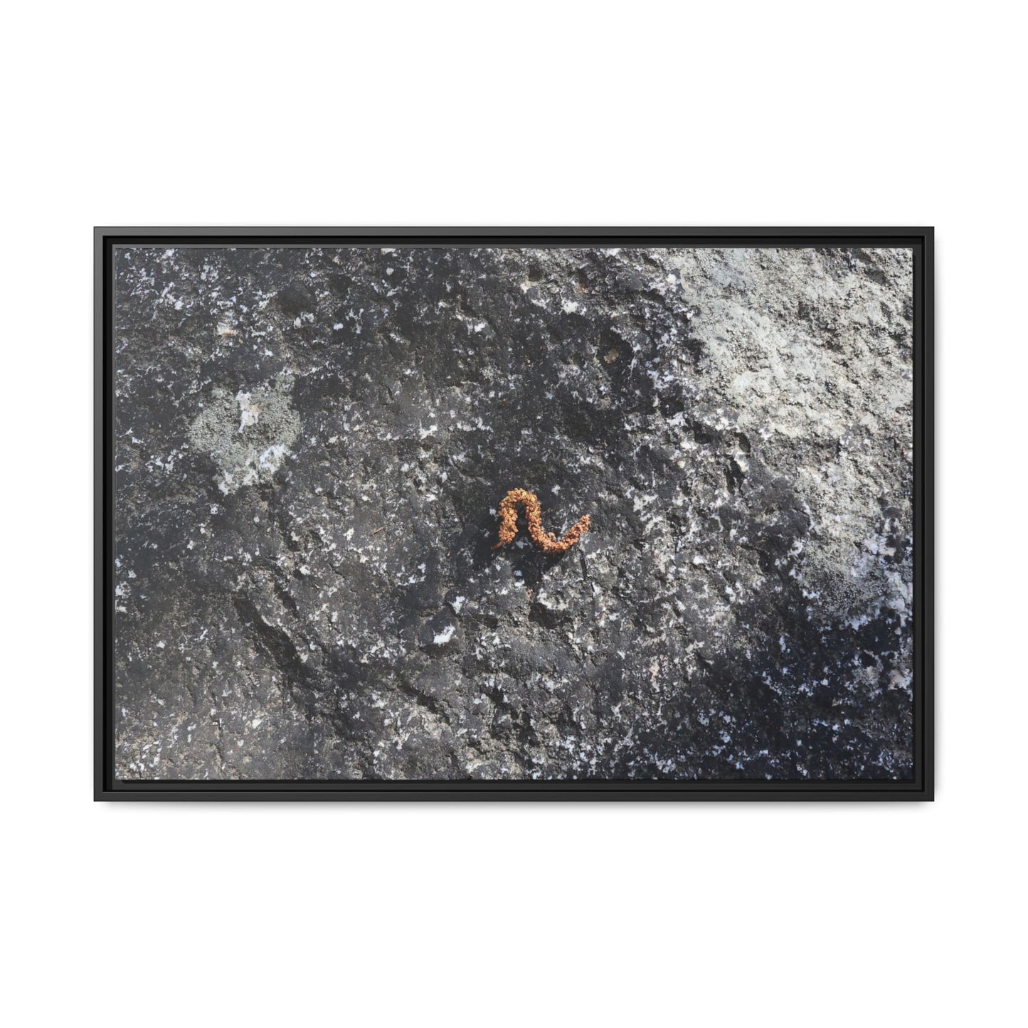 Volcanic Ash and Copper - Unique Stretched Canvas Wall Art - Art By Earth