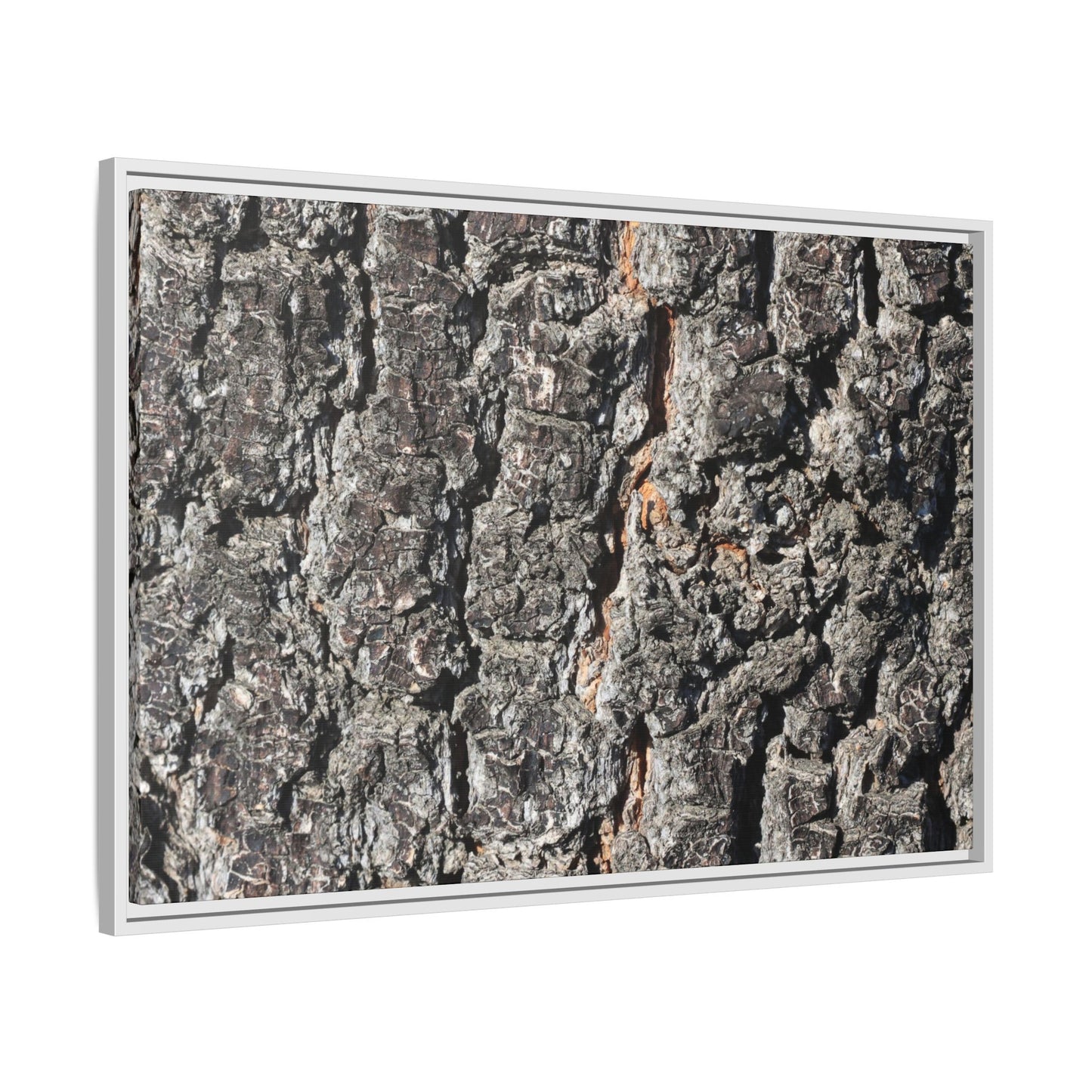 Aged Beauty - Unique Stretched Canvas Wall Art - Art By Earth