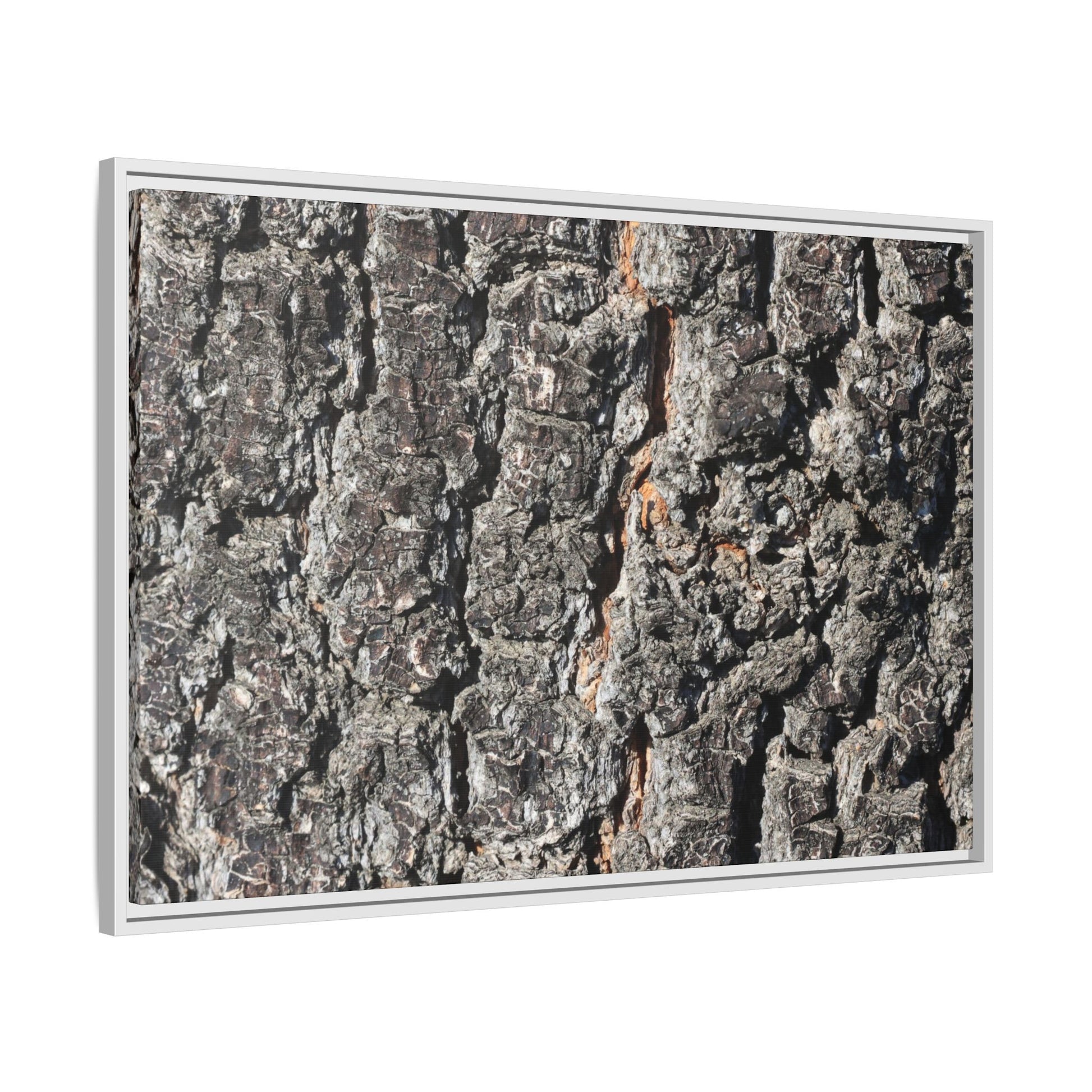 Aged Beauty - Unique Stretched Canvas Wall Art - Art By Earth