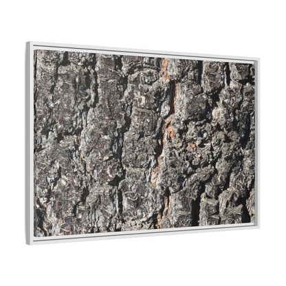 Aged Beauty - Unique Stretched Canvas Wall Art - Art By Earth