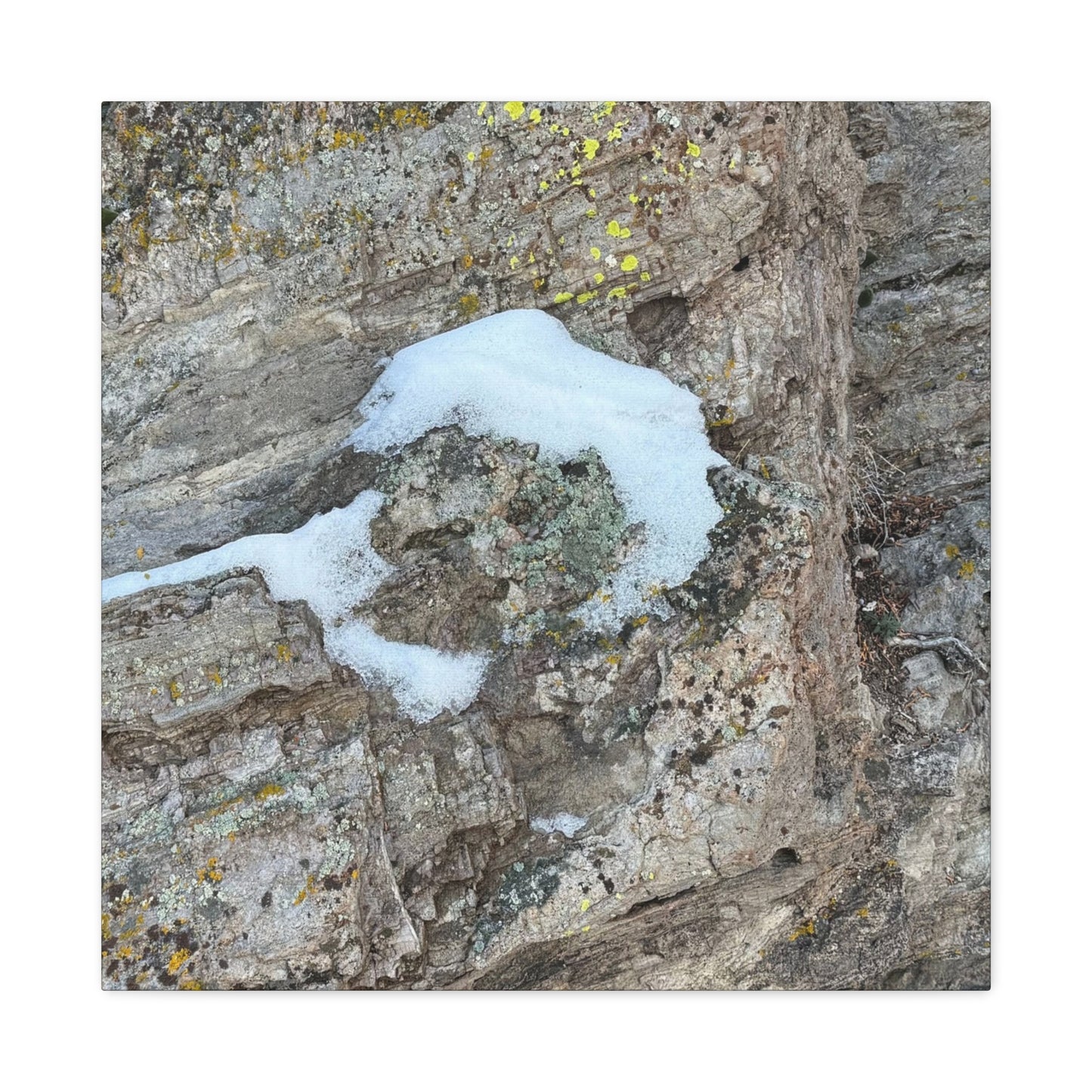 Snow on Stone - Unique Frameless Canvas Wall Art