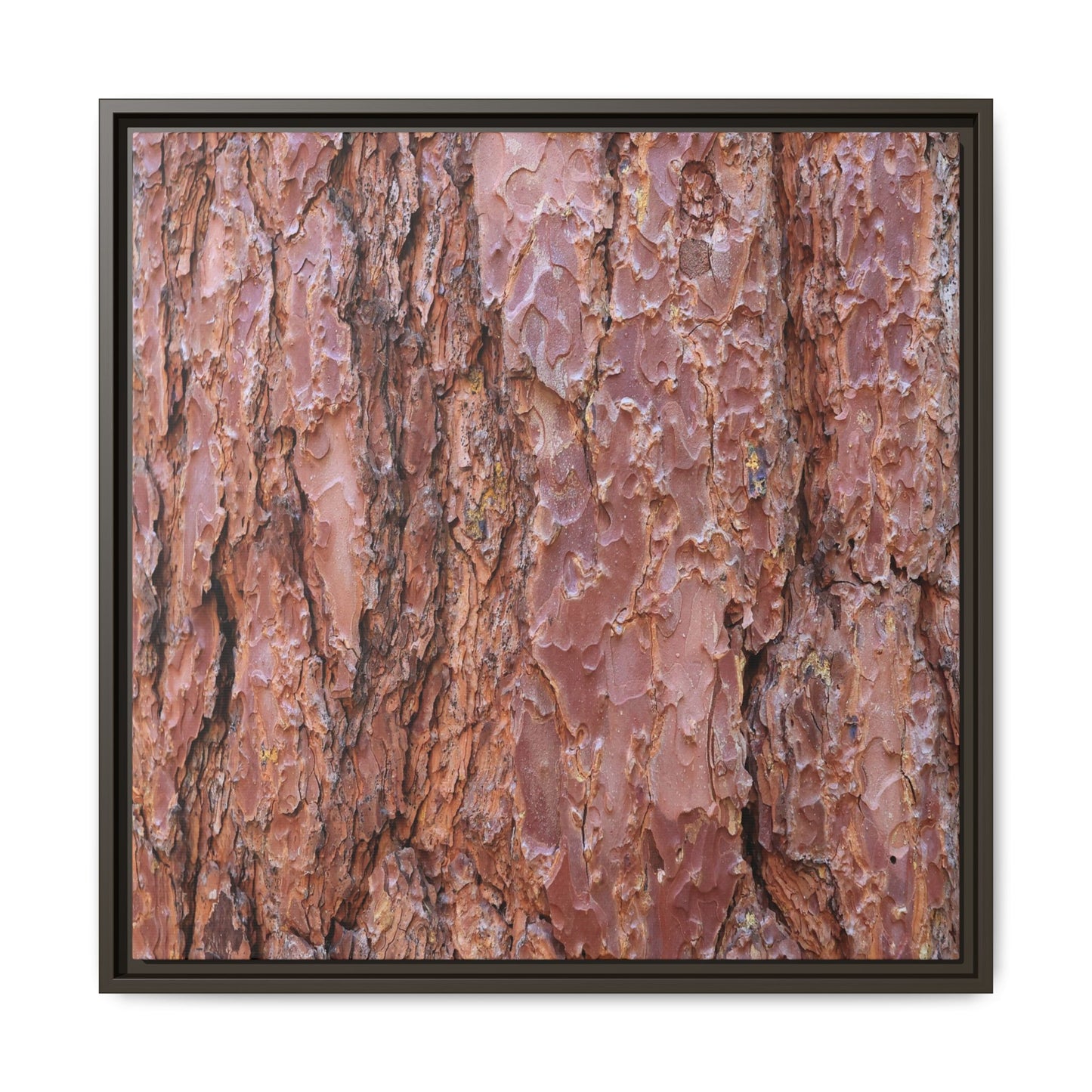 Russet Ridges - Unique Stretched Canvas Wall Art - Art By Earth