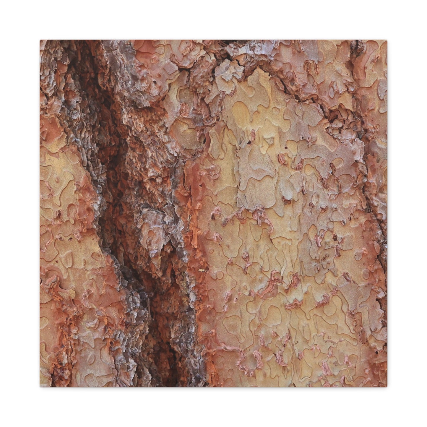 Arboreal Secrets - Unique Frameless Canvas Wall Art - Art By Earth