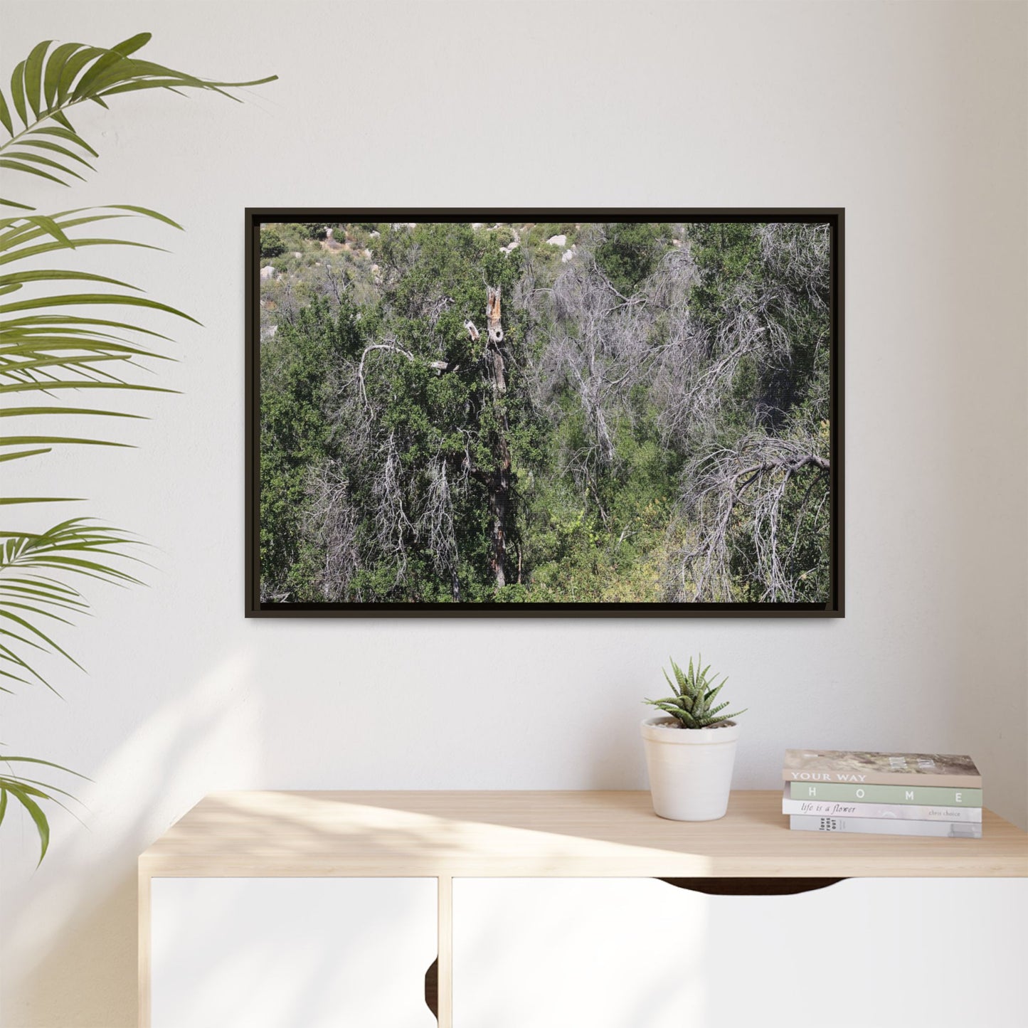 Forest Decline - Unique Stretched Canvas Wall Art