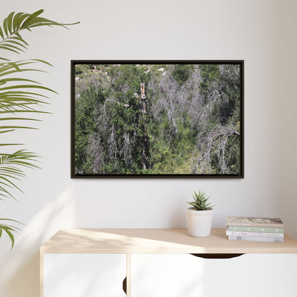 Forest Decline - Unique Stretched Canvas Wall Art