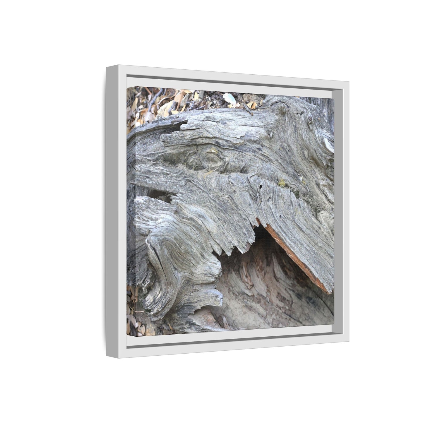 Driftwood Dreams - Unique Stretched Canvas Wall Art - Art By Earth