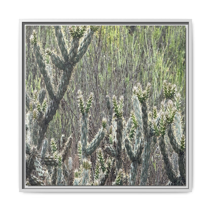 Prickly Paradise - Unique Stretched Canvas Wall Art - Art By Earth