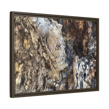 Ancient Tree Texture - Unique Stretched Canvas Wall Art - Art By Earth
