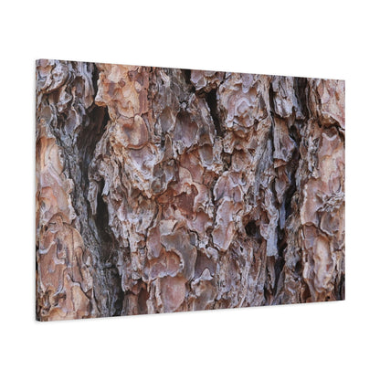 Rough Canvas - Unique Frameless Canvas Wall Art - Art By Earth