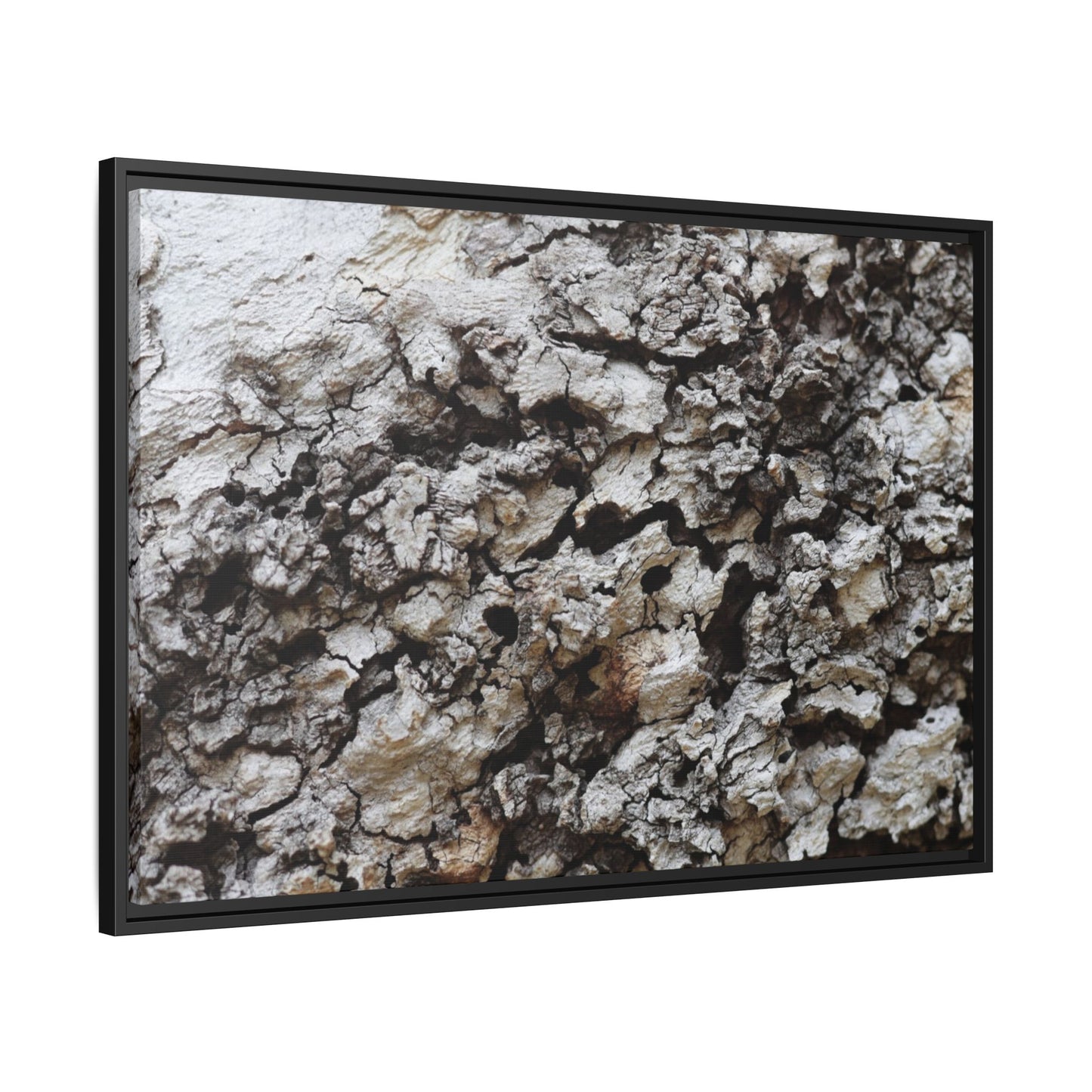 Cracked Terrain - Unique Stretched Canvas Wall Art - Art By Earth