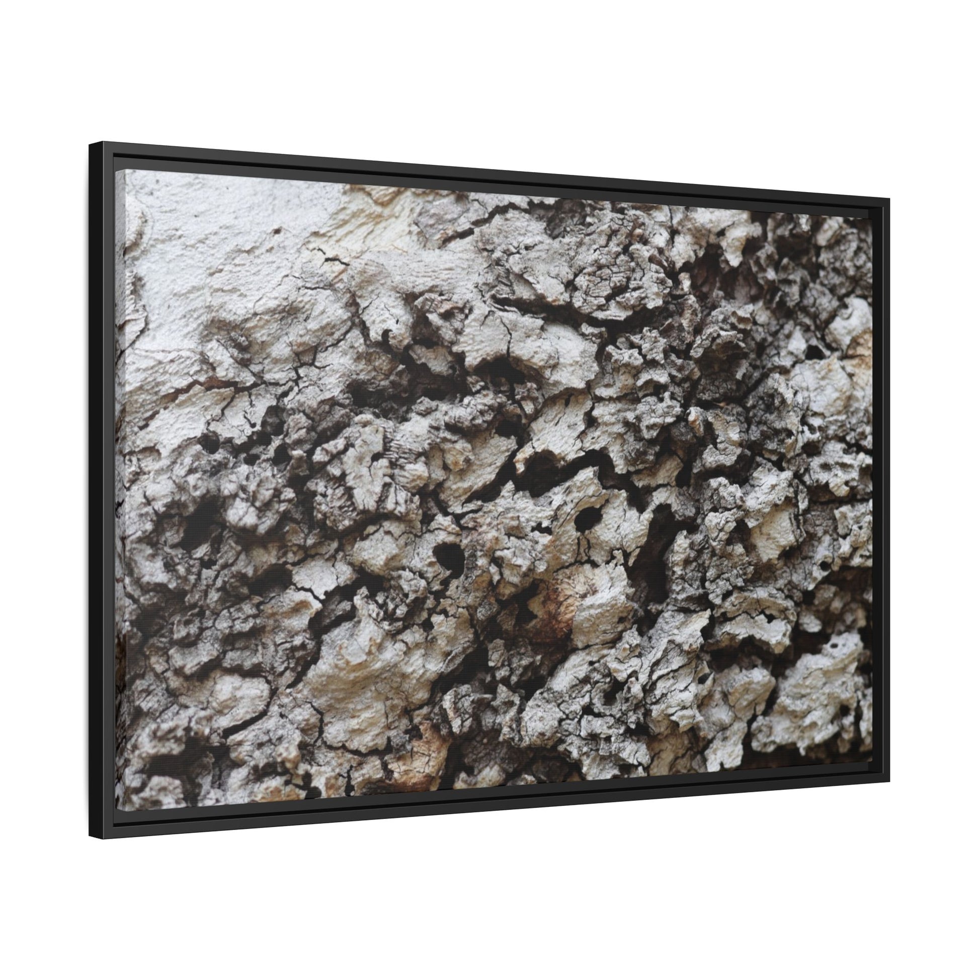 Cracked Terrain - Unique Stretched Canvas Wall Art - Art By Earth