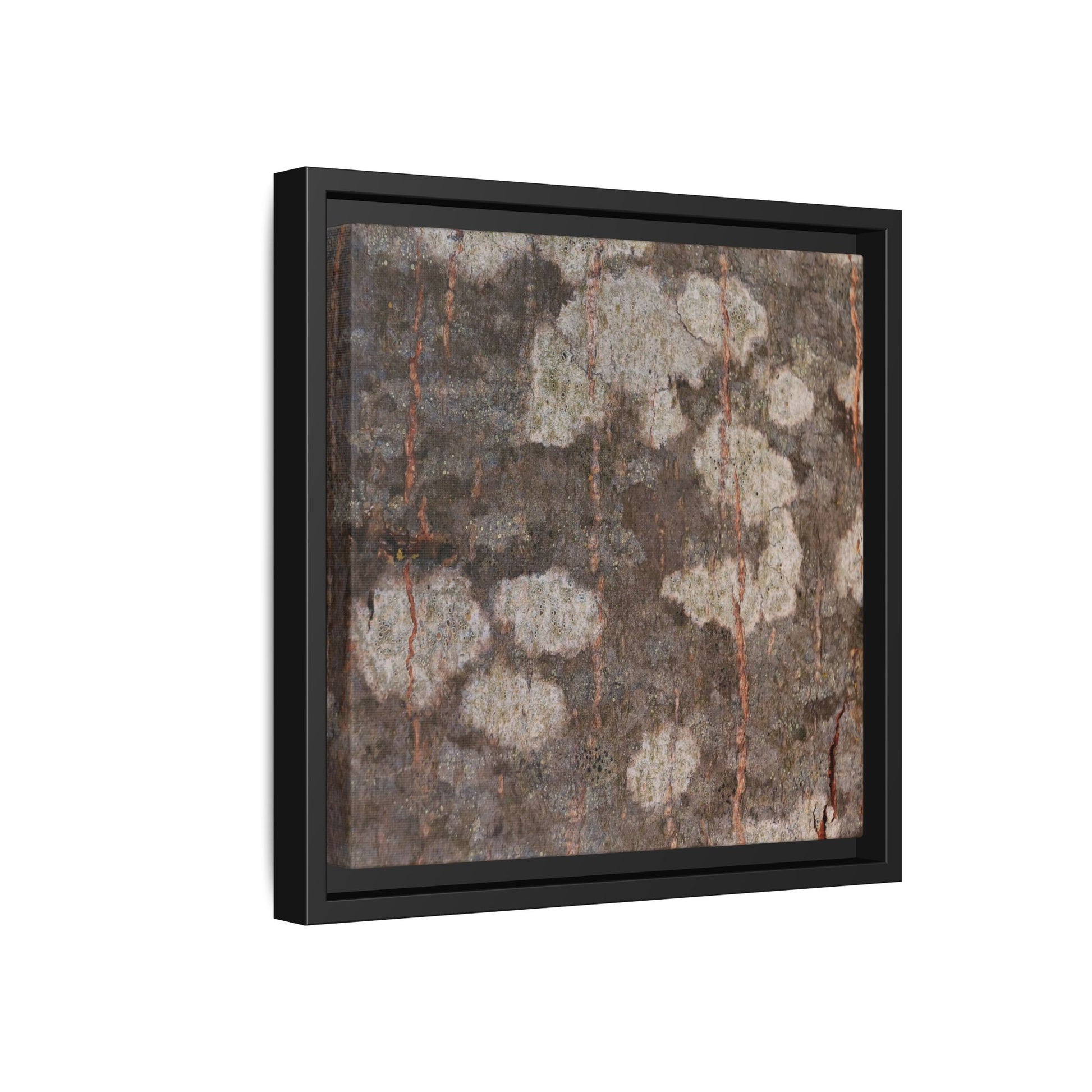 Lichen's Legacy - Unique Stretched Canvas Wall Art - Art By Earth