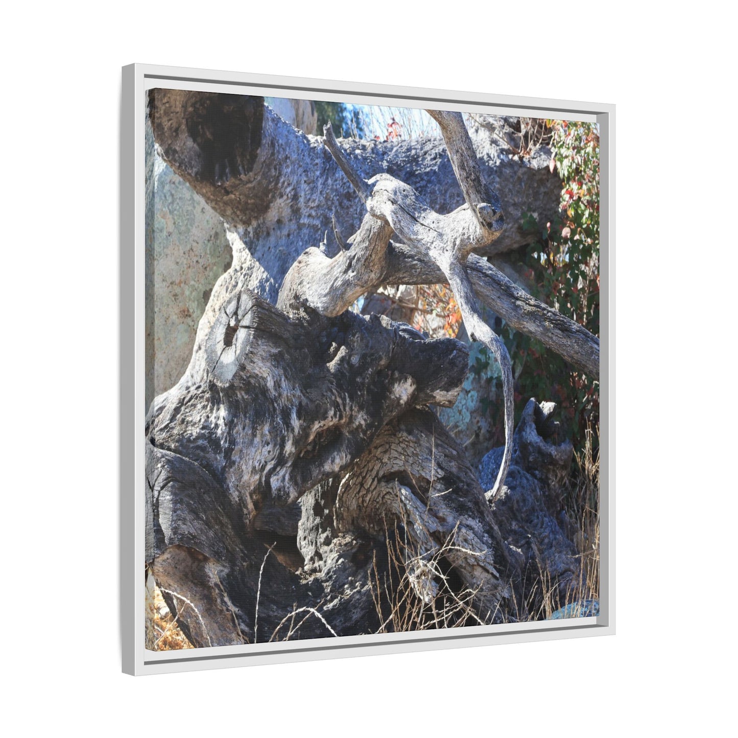 Resilient Roots - Unique Stretched Canvas Wall Art - Art By Earth