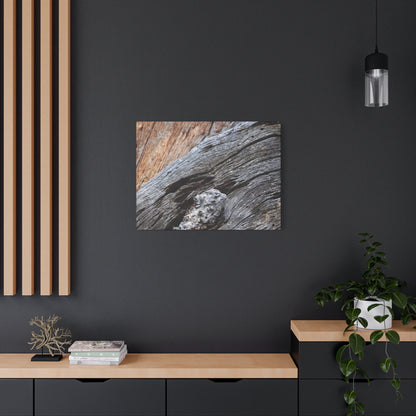 Tree Bark Texture - Unique Frameless Canvas Wall Art - Art By Earth