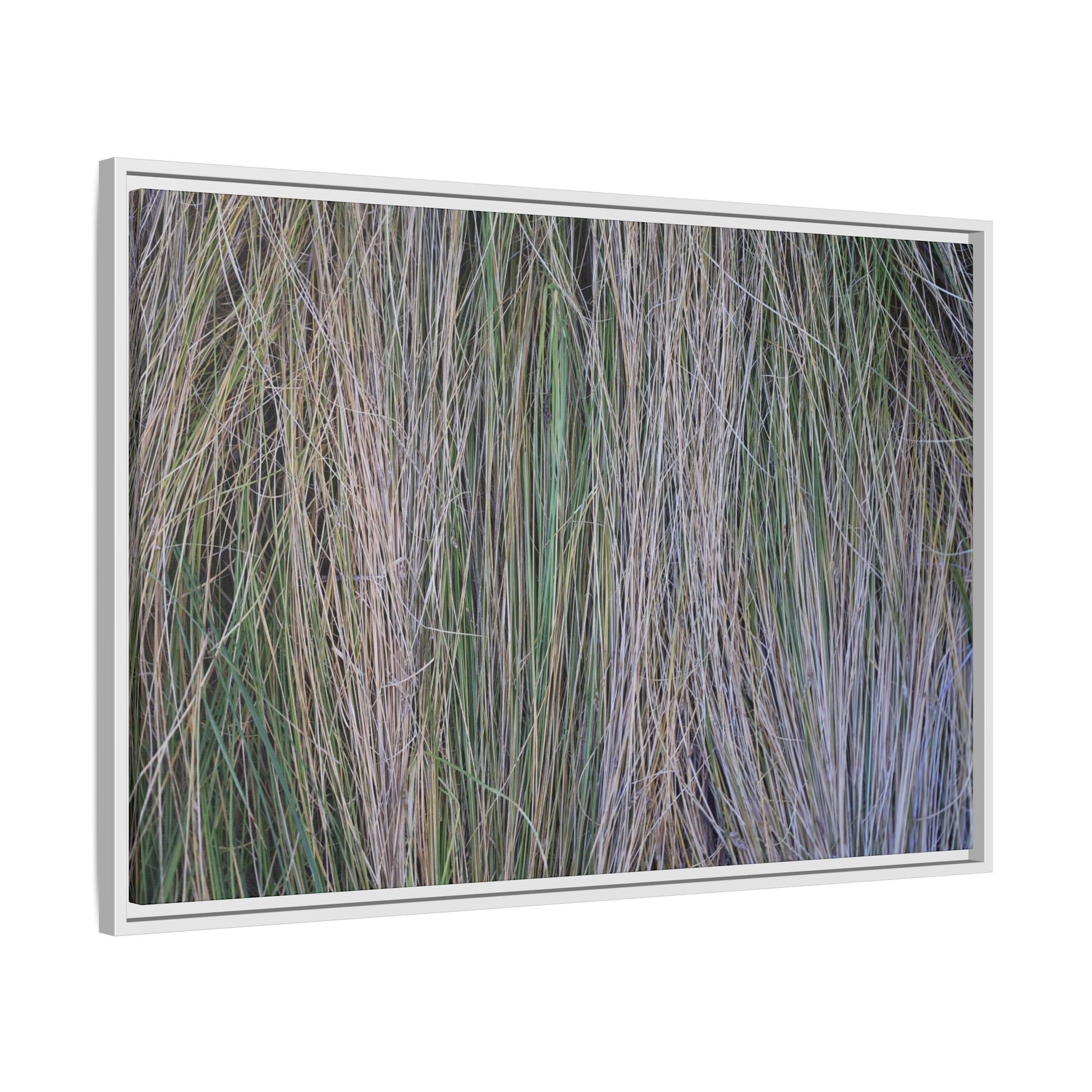 Whispers of Silver Grass - Unique Stretched Canvas Wall Art - Art By Earth