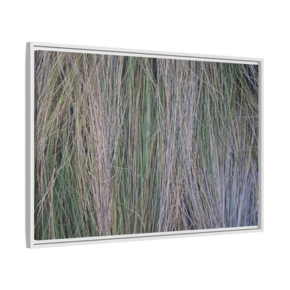 Whispers of Silver Grass - Unique Stretched Canvas Wall Art - Art By Earth