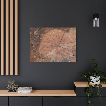 Timber Tale - Unique Frameless Canvas Wall Art - Art By Earth