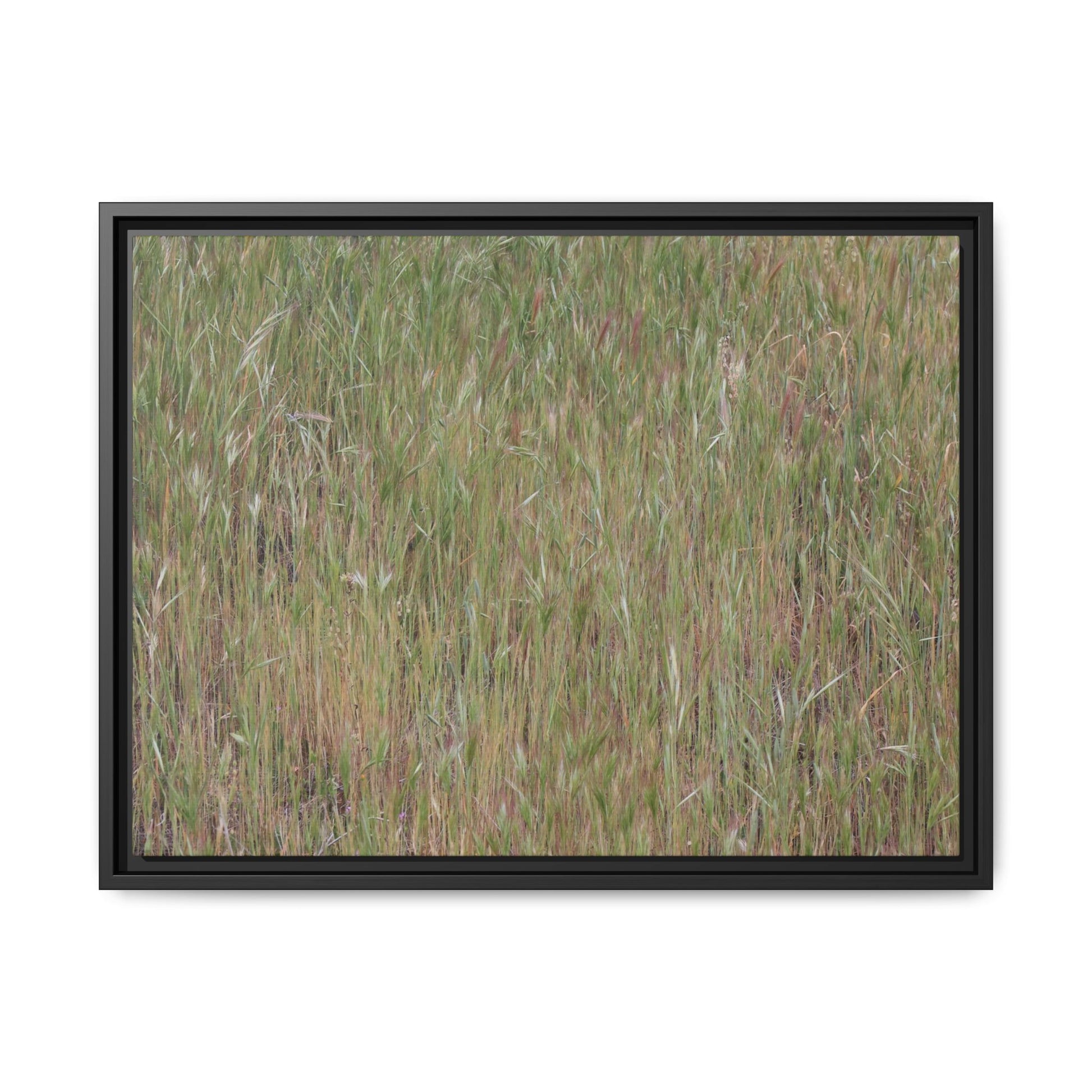 Field of Dreams - Unique Stretched Canvas Wall Art - Art By Earth