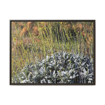 Arid Landscape with Yellow Flowers - Unique Stretched Canvas Wall Art - Art By Earth