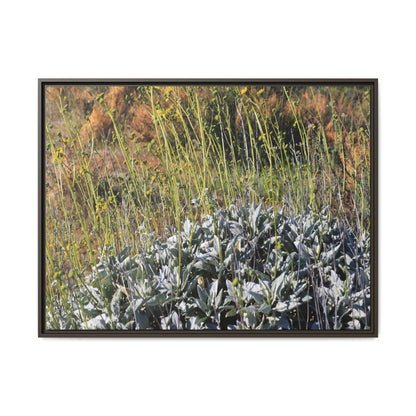 Arid Landscape with Yellow Flowers - Unique Stretched Canvas Wall Art - Art By Earth